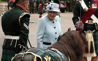 the queen and shetland pony scotland