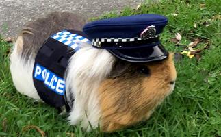 NZ police have posted a touching tribute to Constable Elliott: the world's first police guinea pig
