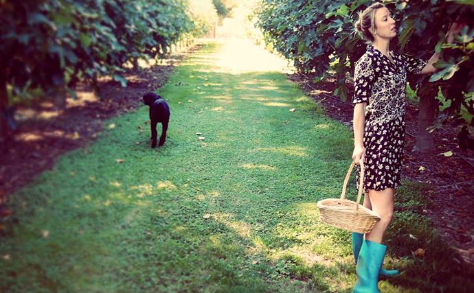 We moved from Auckland to an orchard in Marlborough and haven't looked back!