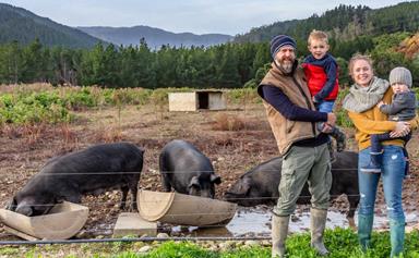 Swapping city life for country life: We moved from Sydney to a pig farm in Manakau