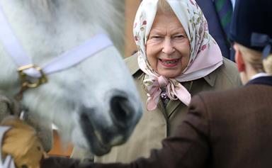 Love horses and royals? Dream about living in a palace? Have we got the job for you!