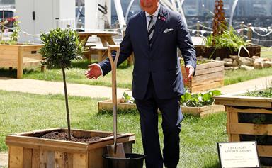 Prince Charles shakes hands with trees after he plants them to 'wish them well'