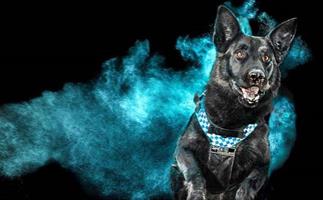 This 'out of the blue' image taken by a police forensic photographer has us all impressed