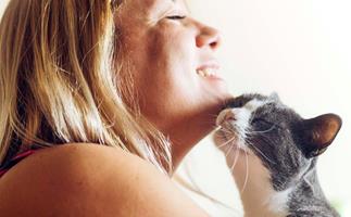 Study finds cats have had a bad rap - they actually care about us quite a lot