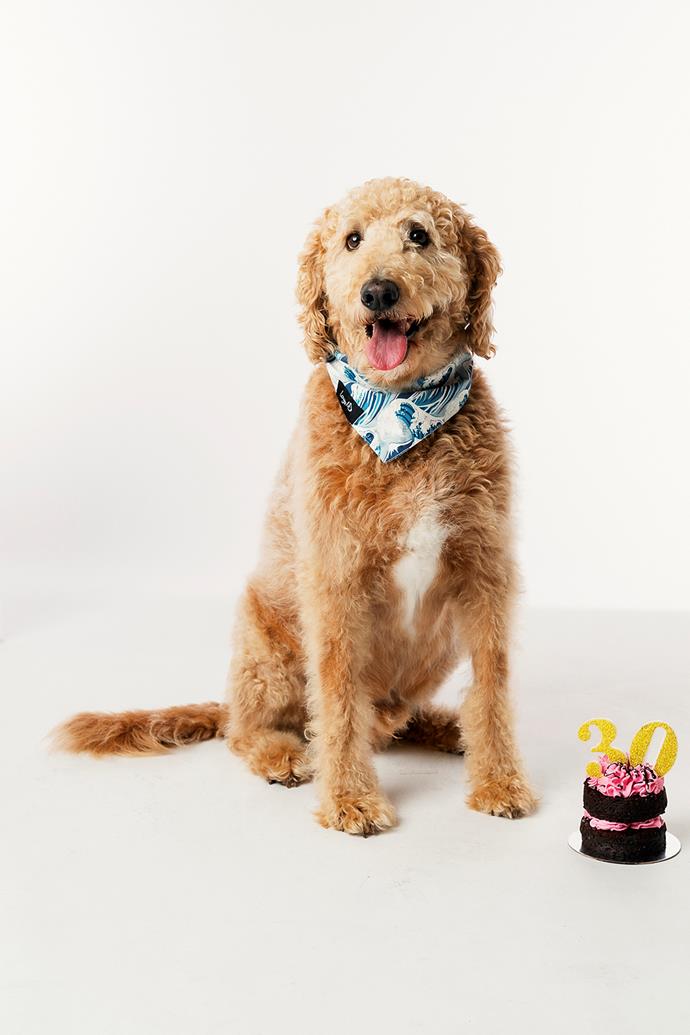 Barry, the soap's first canine star, is played by director Oliver Driver's Labradoodle Harry.