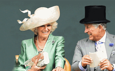 Prince Charles and Camilla celebrate 10 years together