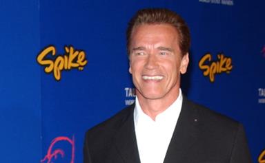 Arnold Schwarzenegger reveals affair with Brigitte Nielsen