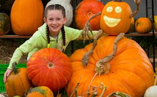 Grace Lusty pumpkin kid