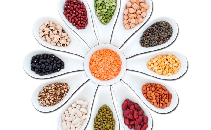 Lentils, legumes, beans and pulses