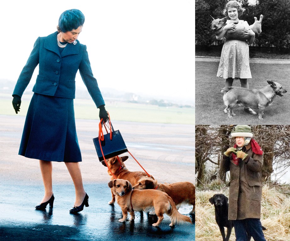 Left: The Queen and her Corgis. Above right: The then-Princess Elizabeth in 1936 with her mother’s corgis. Bottom right: Shadowed by one of Sandringham’s gun dogs in 2009.