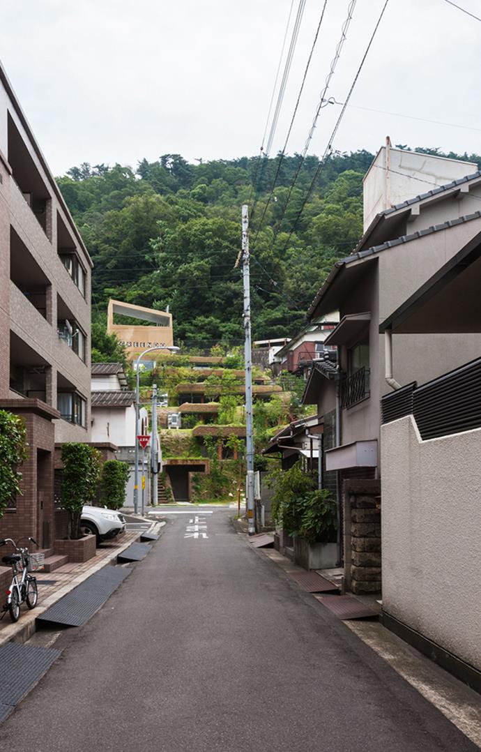 Greendo viewed from an opposing street. Photo: Courtesy of Keita Nagata Architectural Element