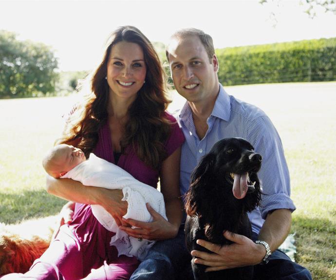 Most of us will recognise Prince William and Catherine's adorable pooch Lupo, the  English Cocker Spaniel was one of the stars of the official family portrait with Prince George. We wonder how the adorable dog is getting along with new bub Charlotte?