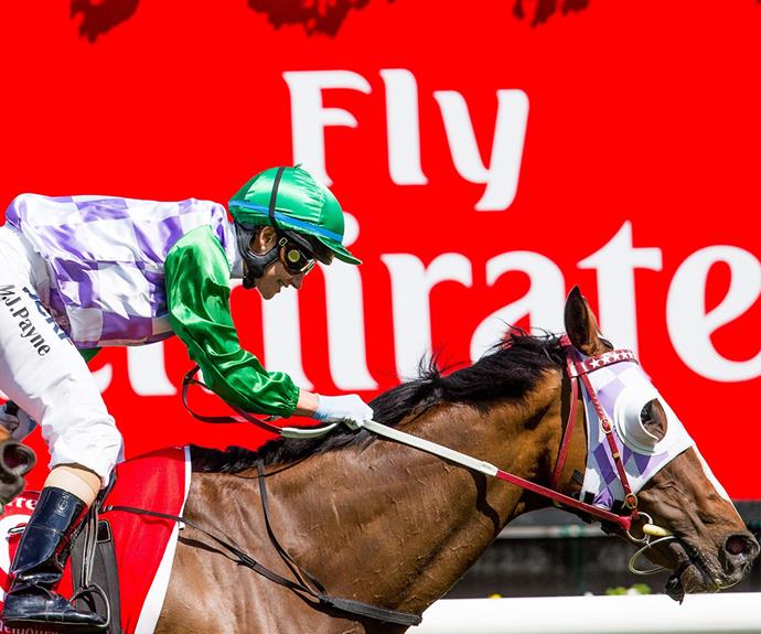 2015 was the year Michelle Payne became a household name after she became the first ever woman to win the Melbourne Cup on the back of New Zealand thoroughbred Prince of Penzance.