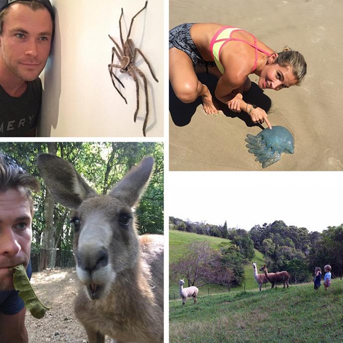 A true blue Aussie, Chris isn't one to shy away from creepy crawlies.