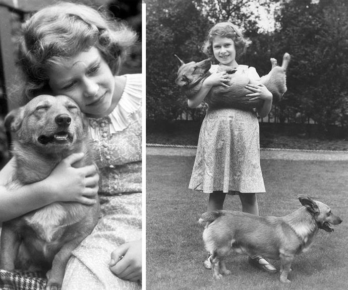 While Elizabeth is known for love of corgis...