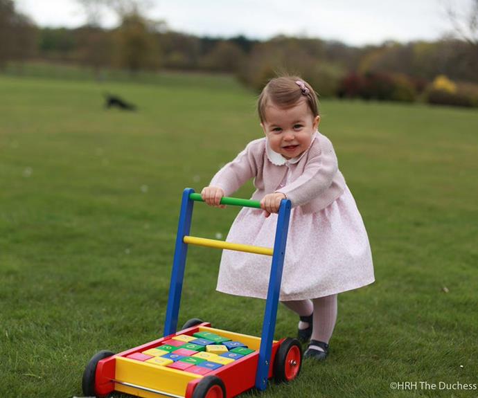 The stunning snaps were taken by Duchess Catherine in April, 2016 at Anmer Hall in Norfolk.