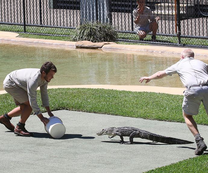 Chandler might not be ready for the large crocs just yet but he's certainly showing promise. (Pic/Coleman-Rayner)